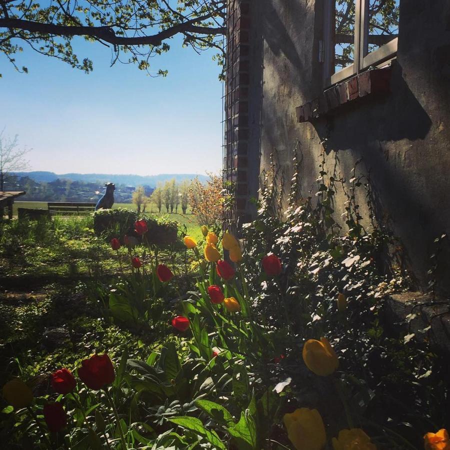 Gladeholm - Kivik - Artist Studio Zewnętrze zdjęcie